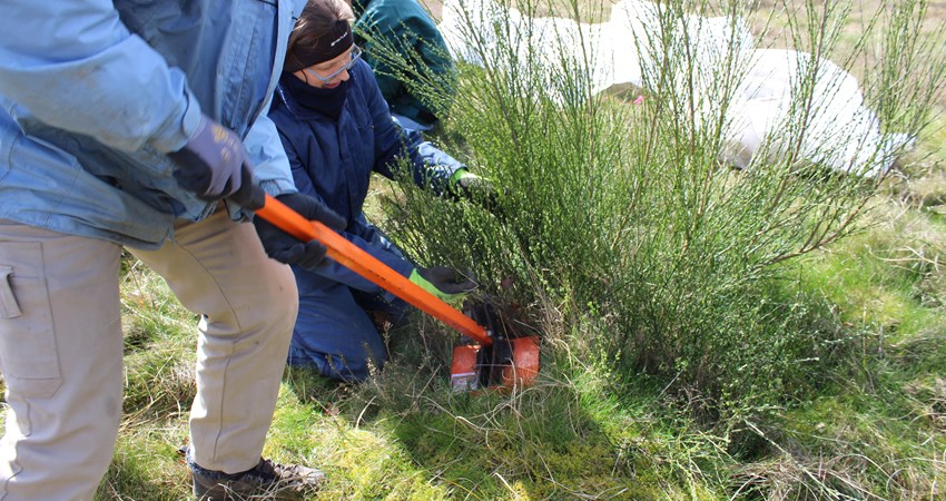 Kamp mod gyvelen 22.04.17