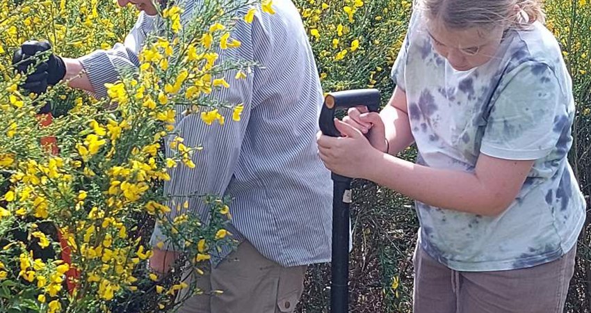 arbejdsdag_joerdloesebakker_20250802_001.jpg (1)