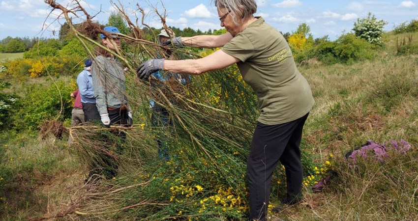 arbejdsdag_joerdloesebakker_20250802_002.jpg (2)